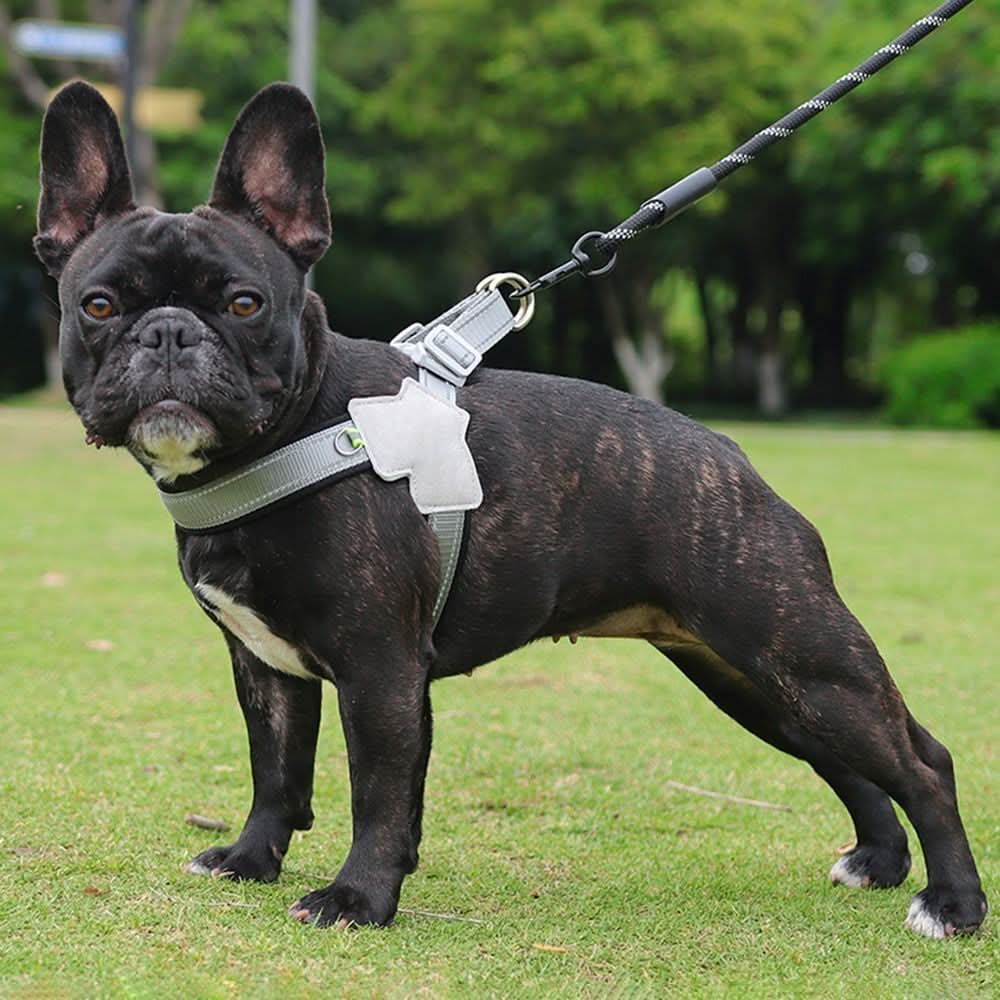 Arnes para Perro con Reflectivo y Sistema Ajustable - Image 4