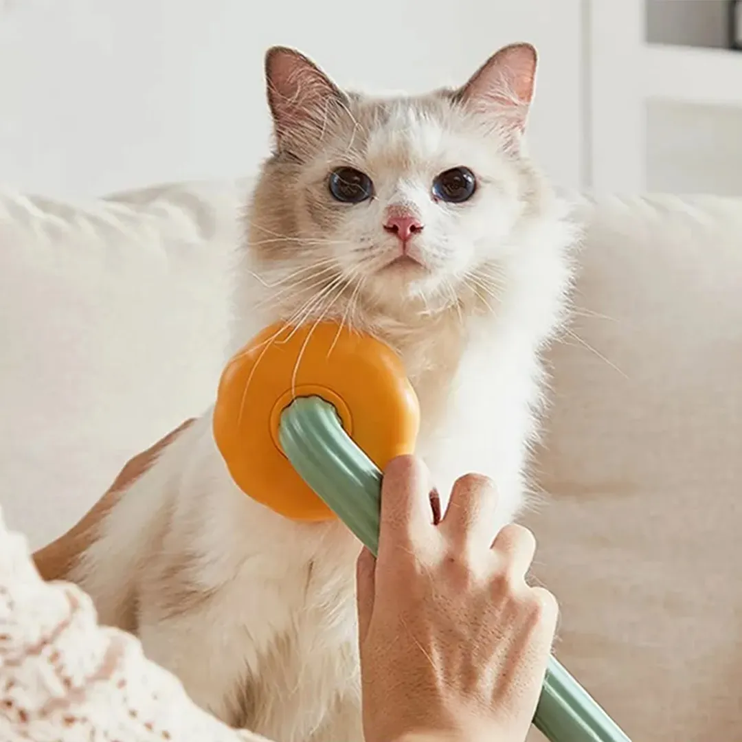 Cepillo Quita Pelo Pet Brush - Image 6