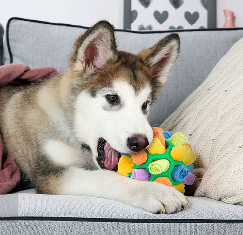 Juguete Interactivo para Mascotas con Forma de Pelota - Image 3