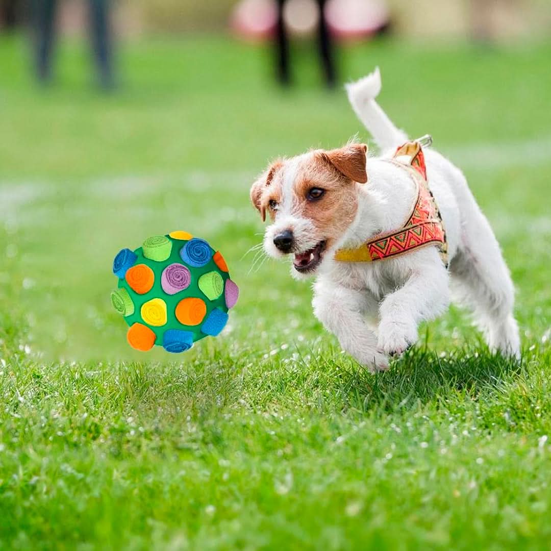 Juguete Interactivo para Mascotas con Forma de Pelota - Image 4