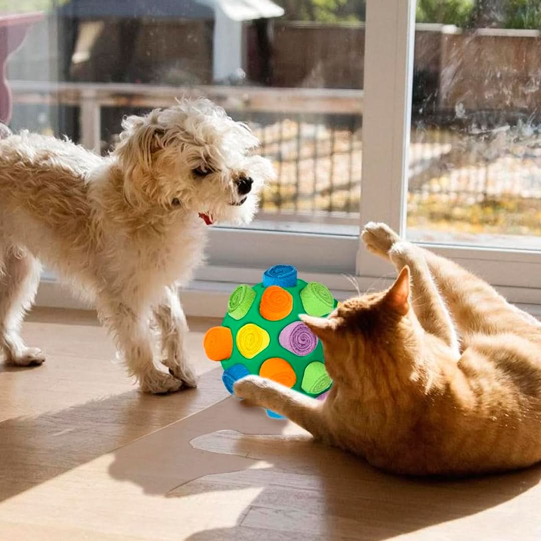 Juguete Interactivo para Mascotas con Forma de Pelota - Image 5