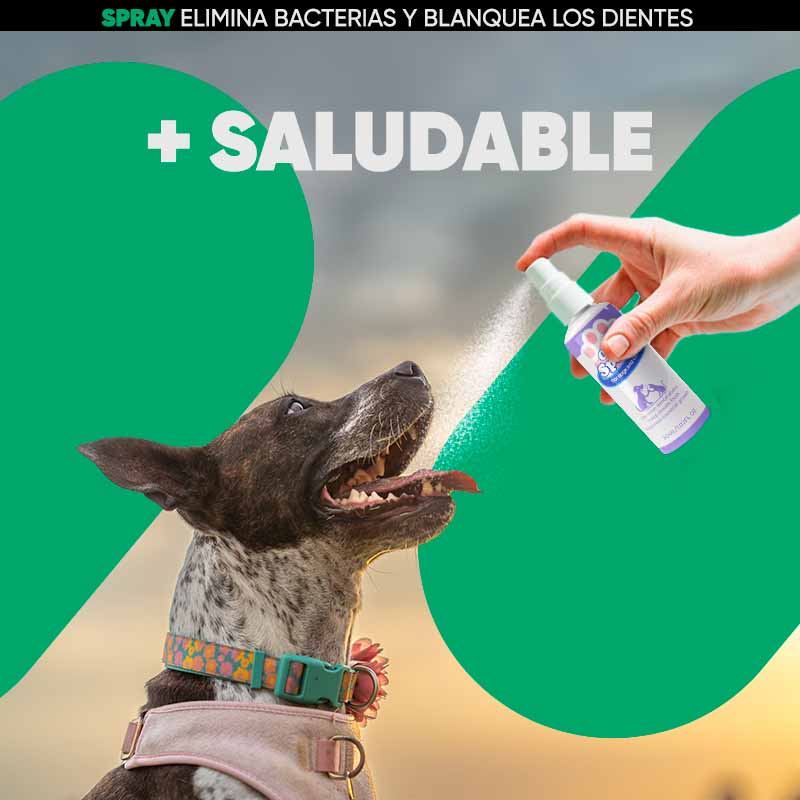 Pulverizador Bucal para Cuidado de Mascota - Image 11