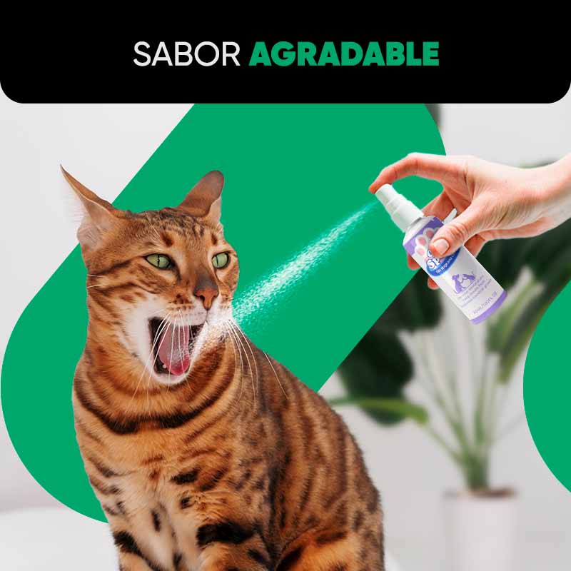 Pulverizador Bucal para Cuidado de Mascota - Image 12