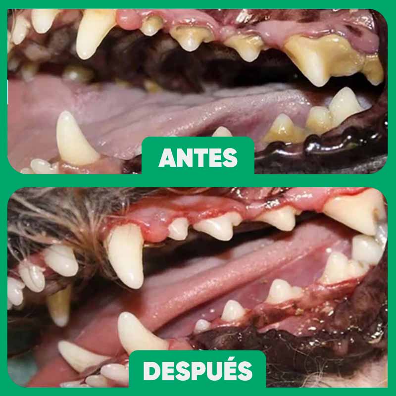 Pulverizador Bucal para Cuidado de Mascota - Image 13