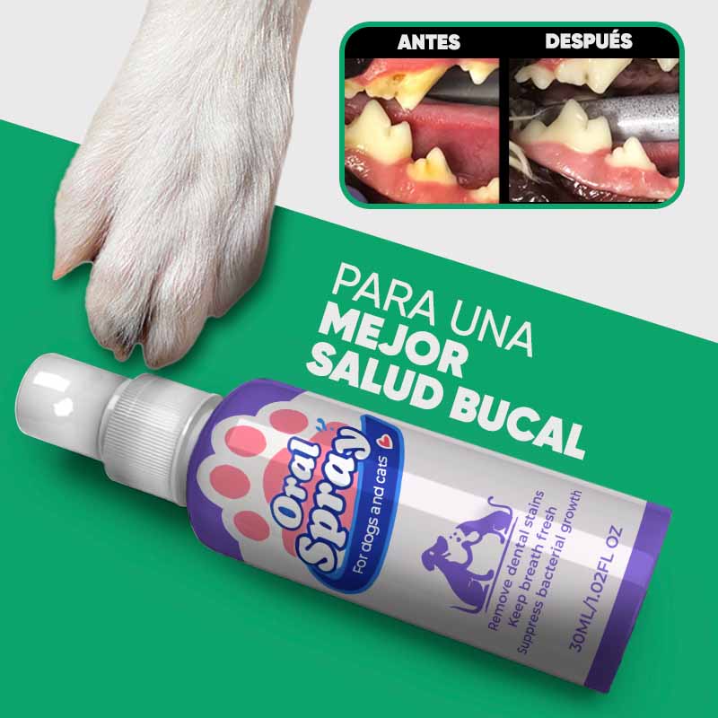 Pulverizador Bucal para Cuidado de Mascota - Image 9
