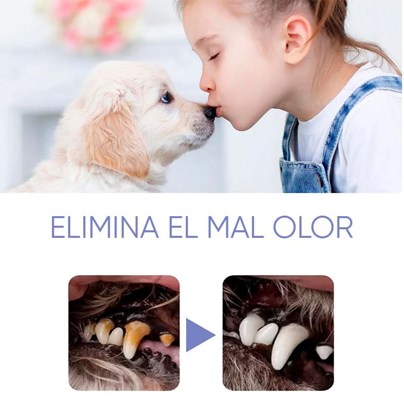 Spray de Limpieza para Dientes de Perros y Gatos - Image 5